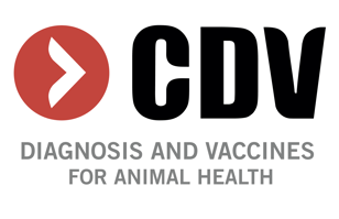 Logo CDV simple PNG (ingles) (1) (1)