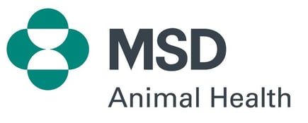 msd_ah_rgb_pos (1) (1)